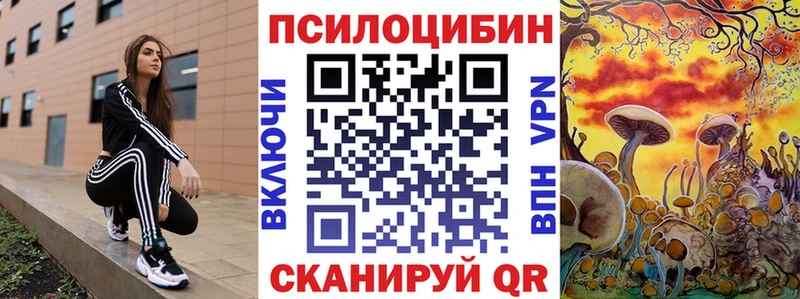 ОМГ ОМГ ONION Чегем Галлюциногенные грибы Cubensis